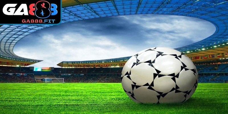 Lợi thế sân bãi cũng là 1 yếu tố