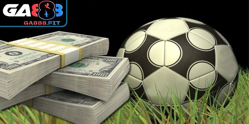 Vai trò quan trọng của AOS trong cá độ