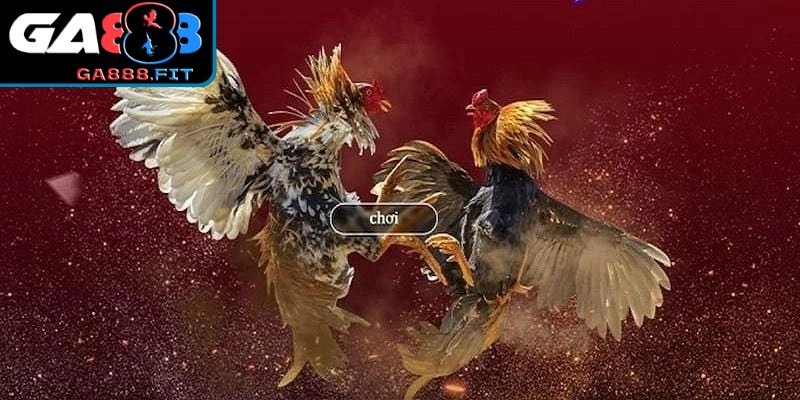 Trải nghiệm giải trí vô cùng kịch tính