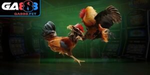 Yếu tố bất ngờ là điều tạo nên sức hút riêng