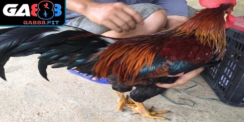 Theo dõi sức khoẻ định kì là điều cần thiết