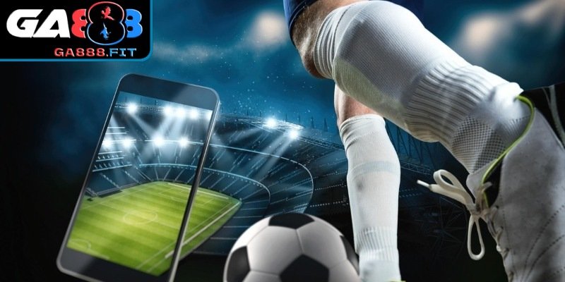 Lưu ý quan trọng phải nhớ khi tham gia